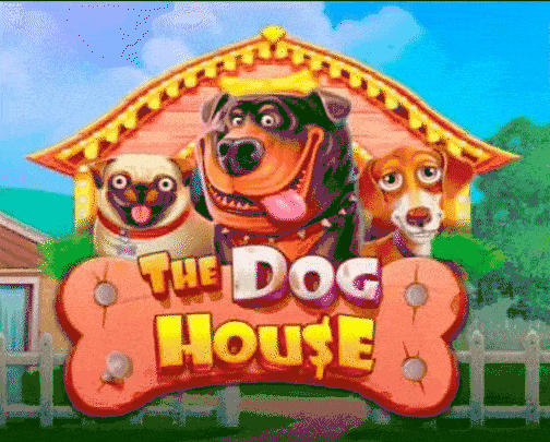Speel The Dog House bij Bigsbet Casino